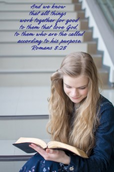 aDSC_8010a verse included